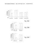 Dietary Compositions and Methods for Protection Against Chemotherapy,     Radiotherapy, Oxidative Stress, and Aging diagram and image