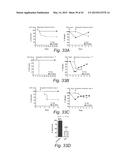 Dietary Compositions and Methods for Protection Against Chemotherapy,     Radiotherapy, Oxidative Stress, and Aging diagram and image