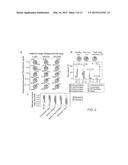 CELL-FREE NUCLEIC ACIDS FOR THE ANALYSIS OF THE HUMAN MICROBIOME AND     COMPONENTS THEREOF diagram and image