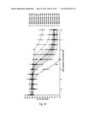 Novel JNK Inhibitor Molecules for Treatment of Various Diseases diagram and image