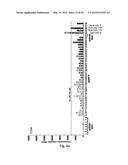 Novel JNK Inhibitor Molecules for Treatment of Various Diseases diagram and image