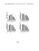 Novel JNK Inhibitor Molecules for Treatment of Various Diseases diagram and image