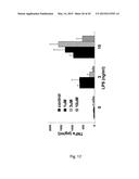 Novel JNK Inhibitor Molecules for Treatment of Various Diseases diagram and image