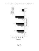 Novel JNK Inhibitor Molecules for Treatment of Various Diseases diagram and image