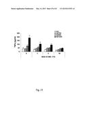 Novel JNK Inhibitor Molecules for Treatment of Various Diseases diagram and image