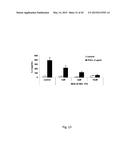 Novel JNK Inhibitor Molecules for Treatment of Various Diseases diagram and image