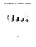 Novel JNK Inhibitor Molecules for Treatment of Various Diseases diagram and image