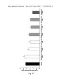 Novel JNK Inhibitor Molecules for Treatment of Various Diseases diagram and image