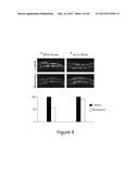 COMPOSITIONS FOR TREATING OR PREVENTING OBESITY AND INSULIN RESISTANCE     DISORDERS diagram and image