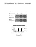 COMPOSITIONS FOR TREATING OR PREVENTING OBESITY AND INSULIN RESISTANCE     DISORDERS diagram and image