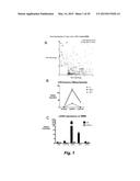 BROAD ANTIVIRAL THERAPY WITH MEMBRANE MODIFYING OXYSTEROLS diagram and image