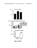 BROAD ANTIVIRAL THERAPY WITH MEMBRANE MODIFYING OXYSTEROLS diagram and image