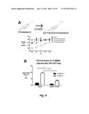 BROAD ANTIVIRAL THERAPY WITH MEMBRANE MODIFYING OXYSTEROLS diagram and image