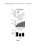 BROAD ANTIVIRAL THERAPY WITH MEMBRANE MODIFYING OXYSTEROLS diagram and image