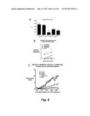 BROAD ANTIVIRAL THERAPY WITH MEMBRANE MODIFYING OXYSTEROLS diagram and image