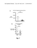 BROAD ANTIVIRAL THERAPY WITH MEMBRANE MODIFYING OXYSTEROLS diagram and image