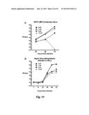 BROAD ANTIVIRAL THERAPY WITH MEMBRANE MODIFYING OXYSTEROLS diagram and image