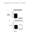 BROAD ANTIVIRAL THERAPY WITH MEMBRANE MODIFYING OXYSTEROLS diagram and image