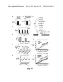 BROAD ANTIVIRAL THERAPY WITH MEMBRANE MODIFYING OXYSTEROLS diagram and image