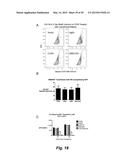 BROAD ANTIVIRAL THERAPY WITH MEMBRANE MODIFYING OXYSTEROLS diagram and image