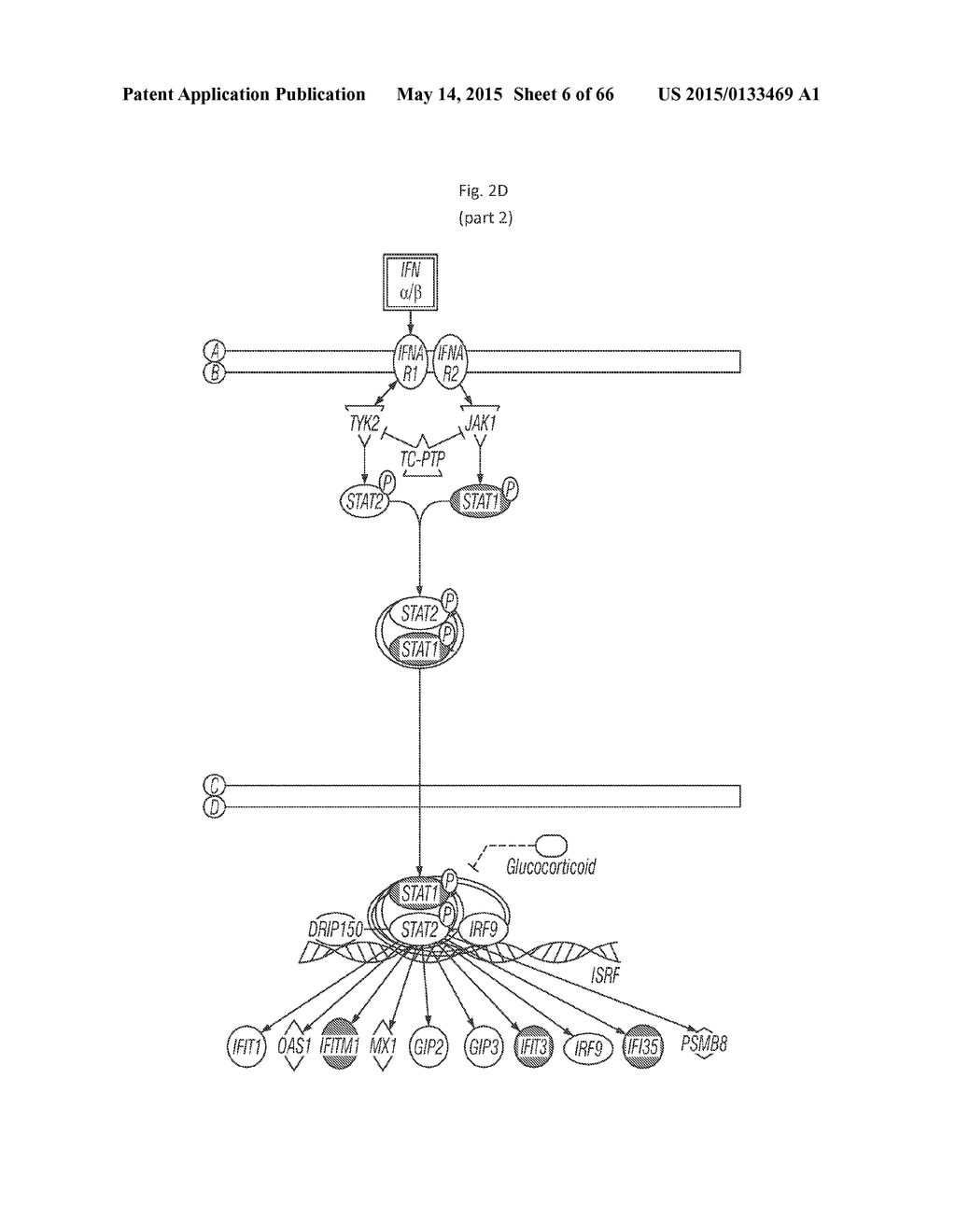 EARLY DETECTION OF TUBERCULOSIS TREATMENT RESPONSE - diagram, schematic, and image 07