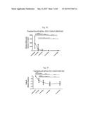 EARLY DETECTION OF TUBERCULOSIS TREATMENT RESPONSE diagram and image