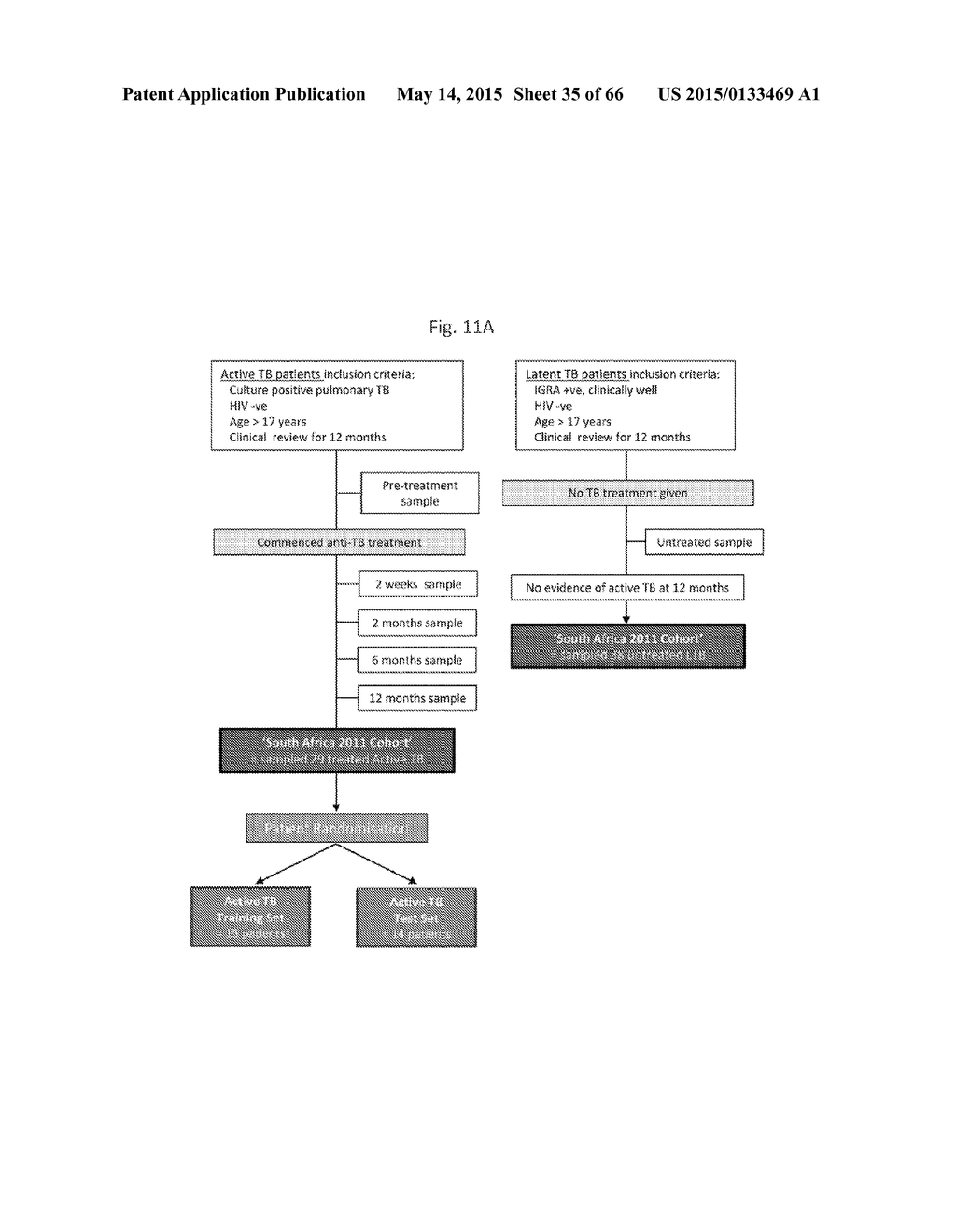 EARLY DETECTION OF TUBERCULOSIS TREATMENT RESPONSE - diagram, schematic, and image 36