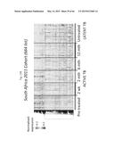 EARLY DETECTION OF TUBERCULOSIS TREATMENT RESPONSE diagram and image