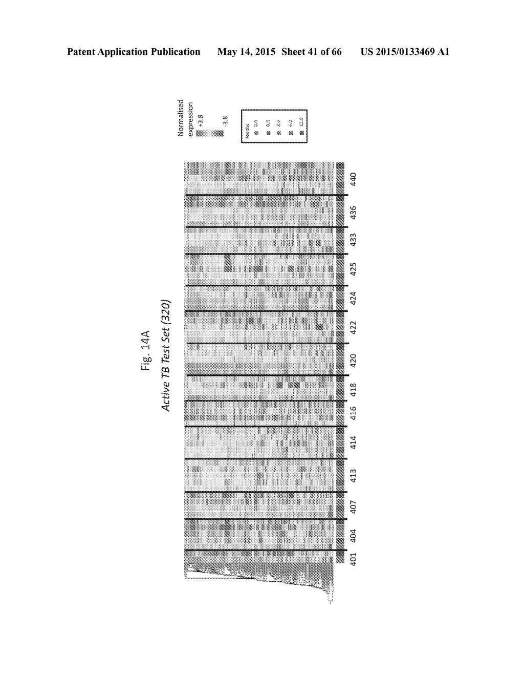 EARLY DETECTION OF TUBERCULOSIS TREATMENT RESPONSE - diagram, schematic, and image 42