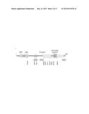 C-RAF MUTANTS THAT CONFER RESISTANCE TO RAF INHIBITORS diagram and image