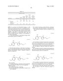 FLUOROETHYL THIAMINE OR SALTS THEREOF AND APPLICATION THEREOF IN     PREPARATION OF ANTICOCCIDIAL DRUGS diagram and image