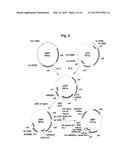 PHARMACEUTICAL COMPOSITION FOR PREVENTING OR TREATING TUBERCULOSIS diagram and image