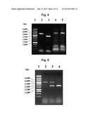 PHARMACEUTICAL COMPOSITION FOR PREVENTING OR TREATING TUBERCULOSIS diagram and image