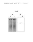 PHARMACEUTICAL COMPOSITION FOR PREVENTING OR TREATING TUBERCULOSIS diagram and image