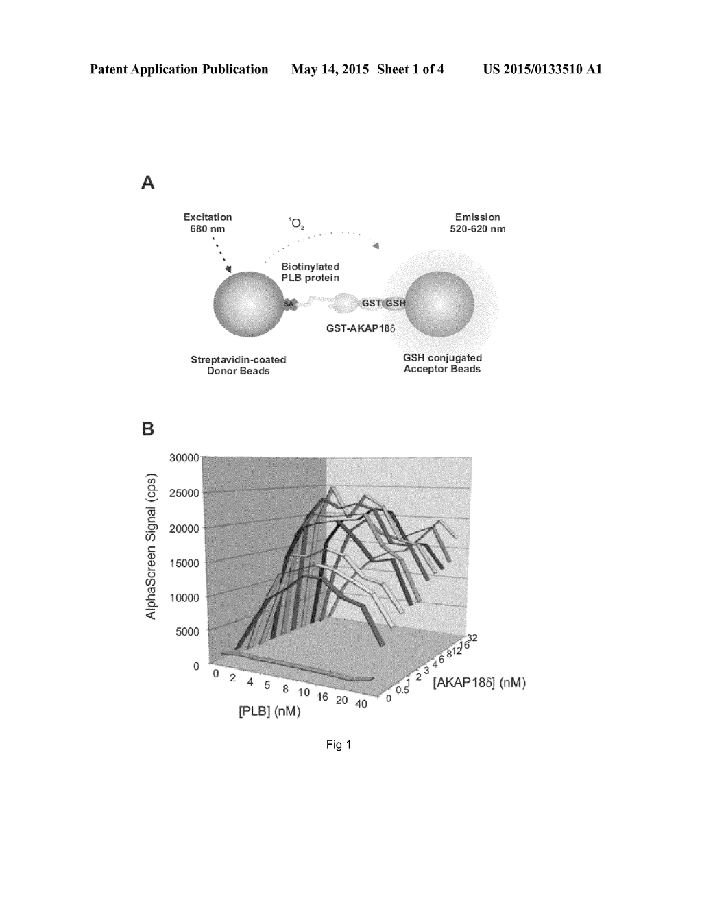 TERTIARY AMINES FOR USE IN THE TREATMENT OF CARDIAC DISORDERS - diagram, schematic, and image 02