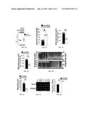 MANIPULATING MICRORNA FOR THE MANAGEMENT OF NEUROLOGICAL DISEASES OR     CONDITIONS AND COMPOSITIONS RELATED THERETO diagram and image