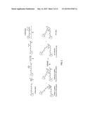 Compositions and Methods for Treating Macular Degeneration diagram and image