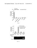 Lipids That Increase Insulin Sensitivity And Methods Of Using The Same diagram and image