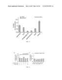 Lipids That Increase Insulin Sensitivity And Methods Of Using The Same diagram and image