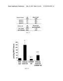 Lipids That Increase Insulin Sensitivity And Methods Of Using The Same diagram and image