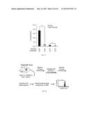 Lipids That Increase Insulin Sensitivity And Methods Of Using The Same diagram and image