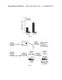 Lipids That Increase Insulin Sensitivity And Methods Of Using The Same diagram and image