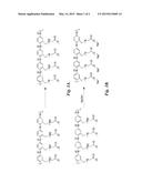 NON-FOULING CONDUCTING POLYMERS diagram and image