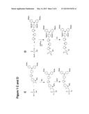 ORGANIC COMPOUNDS CONTAINING SQUARIC ACID OR CROCONIC ACID MOIETIES FOR     APPLICATION IN ELECTRONIC DEVICES diagram and image