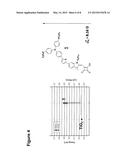 ORGANIC COMPOUNDS CONTAINING SQUARIC ACID OR CROCONIC ACID MOIETIES FOR     APPLICATION IN ELECTRONIC DEVICES diagram and image