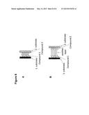 ORGANIC COMPOUNDS CONTAINING SQUARIC ACID OR CROCONIC ACID MOIETIES FOR     APPLICATION IN ELECTRONIC DEVICES diagram and image