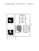 SYSTEM AND METHOD FOR INTRAOPERATIVE DETECTION OF CANCER MARGINS USING     CONFORMAL FILTERS IN A DUAL POLARIZATION CONFIGURATION diagram and image