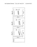 Implantable Electrochemical Biosensor System and Method diagram and image