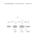 POSITRON EMISSION TOMOGRAPHY PROBE TO MONITOR SELECTED SUGAR METABOLISM IN     VIVO diagram and image