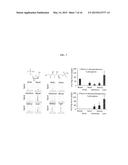 POSITRON EMISSION TOMOGRAPHY PROBE TO MONITOR SELECTED SUGAR METABOLISM IN     VIVO diagram and image